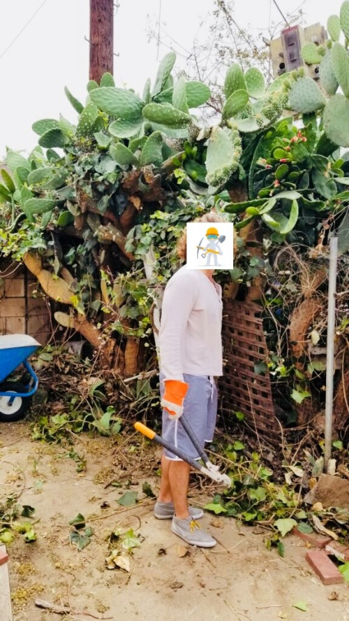 Unskilled Laborer.jpg